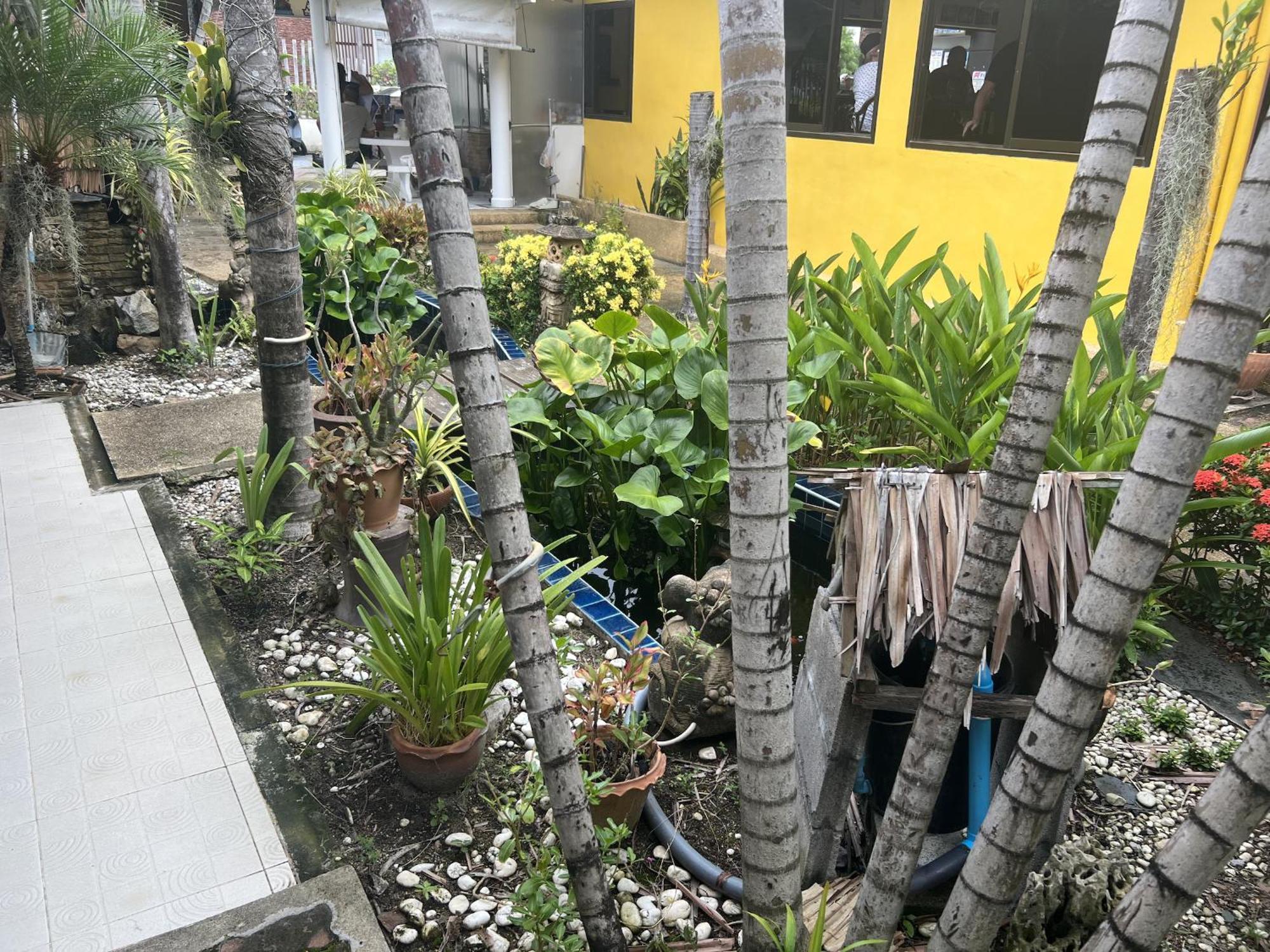 Baan Orchid Guesthouse Patong Exterior foto